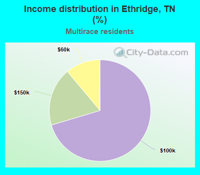 Income distribution in Ethridge, TN (%)