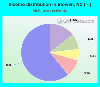 Income distribution in Etowah, NC (%)