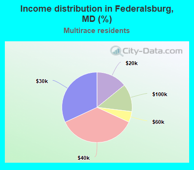 Income distribution in Federalsburg, MD (%)