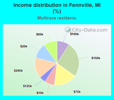 Income distribution in Fennville, MI (%)