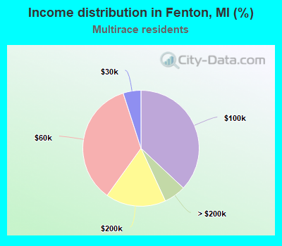 Income distribution in Fenton, MI (%)