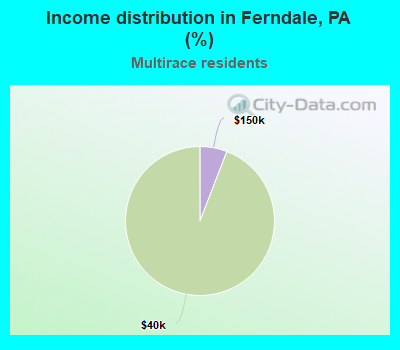 Income distribution in Ferndale, PA (%)