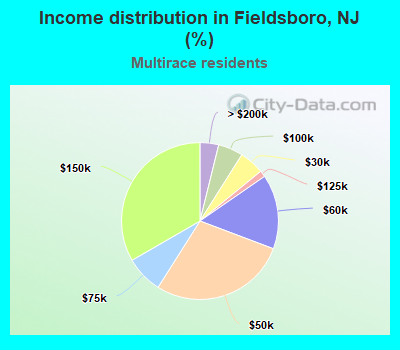 Income distribution in Fieldsboro, NJ (%)