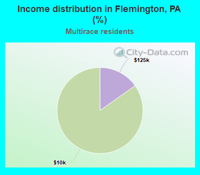 Income distribution in Flemington, PA (%)