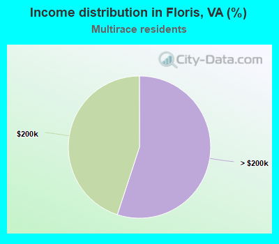 Income distribution in Floris, VA (%)