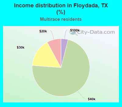 Income distribution in Floydada, TX (%)