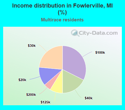 Income distribution in Fowlerville, MI (%)
