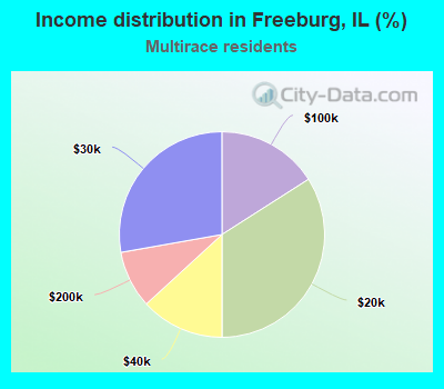 Income distribution in Freeburg, IL (%)