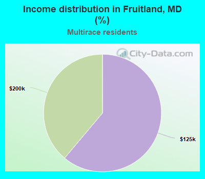 Income distribution in Fruitland, MD (%)