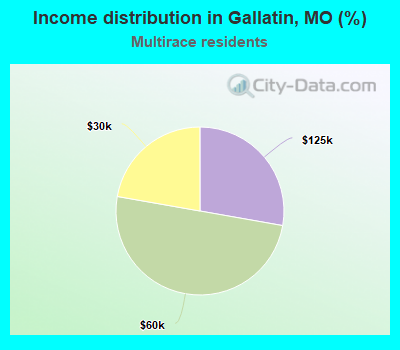 Income distribution in Gallatin, MO (%)