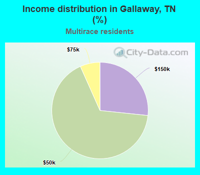 Income distribution in Gallaway, TN (%)