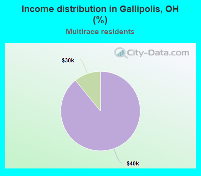 Income distribution in Gallipolis, OH (%)
