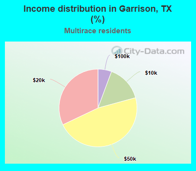 Income distribution in Garrison, TX (%)