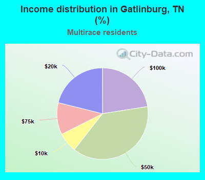 Income distribution in Gatlinburg, TN (%)