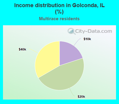 Income distribution in Golconda, IL (%)