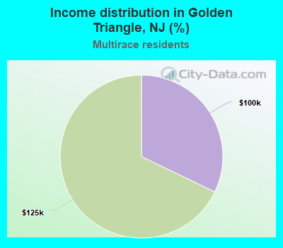 Income distribution in Golden Triangle, NJ (%)