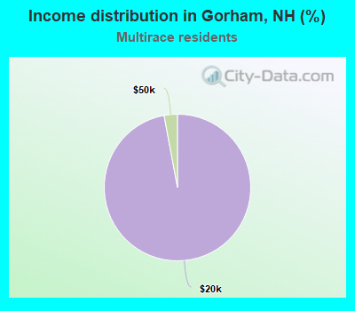 Income distribution in Gorham, NH (%)