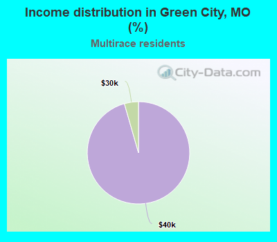 Income distribution in Green City, MO (%)