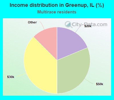 Income distribution in Greenup, IL (%)