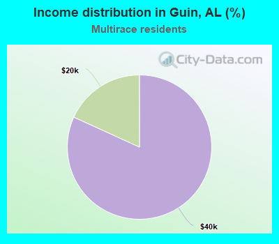Income distribution in Guin, AL (%)