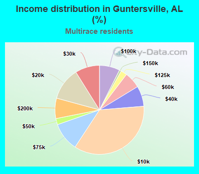 Income distribution in Guntersville, AL (%)
