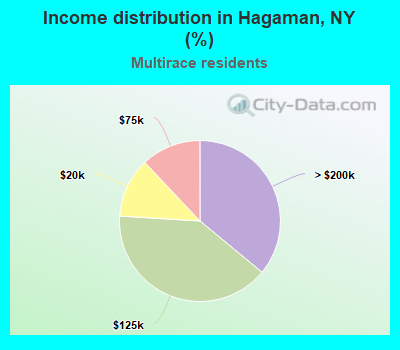 Income distribution in Hagaman, NY (%)