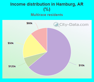 Income distribution in Hamburg, AR (%)