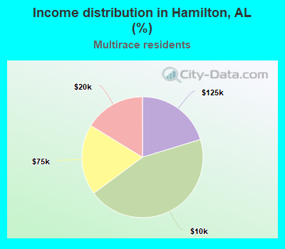 Income distribution in Hamilton, AL (%)