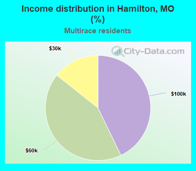 Income distribution in Hamilton, MO (%)