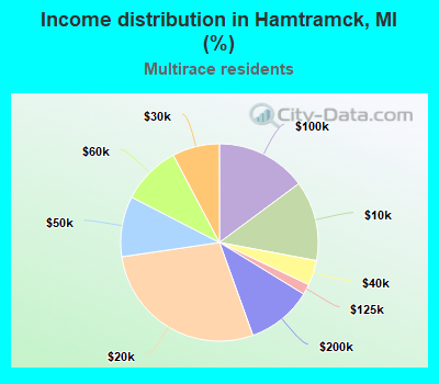 Income distribution in Hamtramck, MI (%)