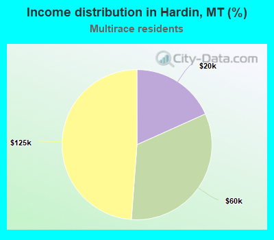 Income distribution in Hardin, MT (%)