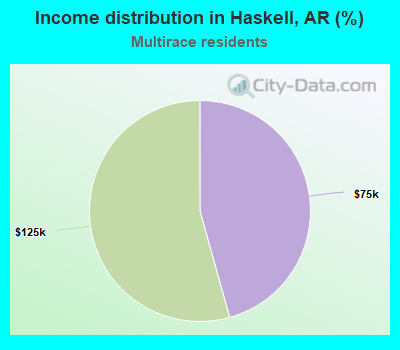 Income distribution in Haskell, AR (%)