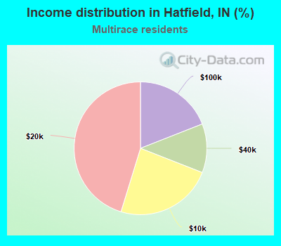 Income distribution in Hatfield, IN (%)