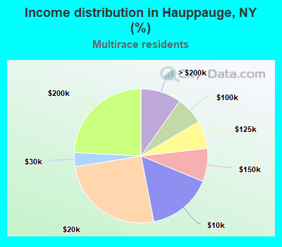 Income distribution in Hauppauge, NY (%)