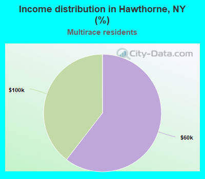Income distribution in Hawthorne, NY (%)
