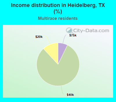 Income distribution in Heidelberg, TX (%)