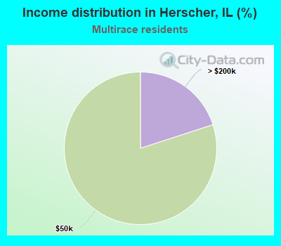 Income distribution in Herscher, IL (%)