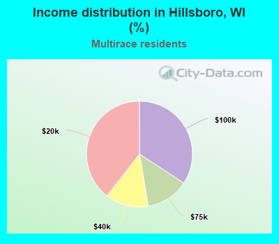 Income distribution in Hillsboro, WI (%)