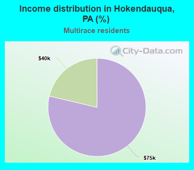 Income distribution in Hokendauqua, PA (%)