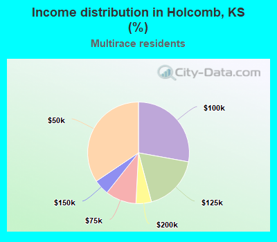 Income distribution in Holcomb, KS (%)