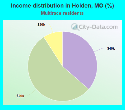 Income distribution in Holden, MO (%)