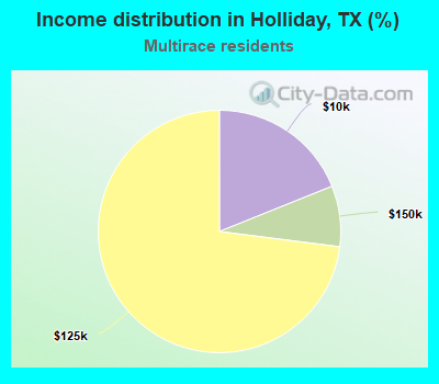 Income distribution in Holliday, TX (%)