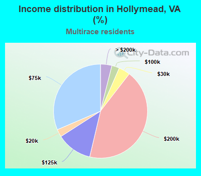 Income distribution in Hollymead, VA (%)