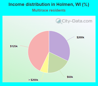 Income distribution in Holmen, WI (%)
