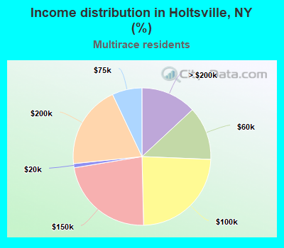 Income distribution in Holtsville, NY (%)