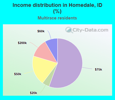 Income distribution in Homedale, ID (%)