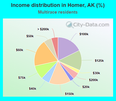 Income distribution in Homer, AK (%)