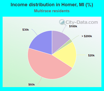 Income distribution in Homer, MI (%)