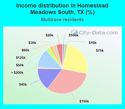 Income distribution in Homestead Meadows South, TX (%)