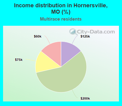 Income distribution in Hornersville, MO (%)
